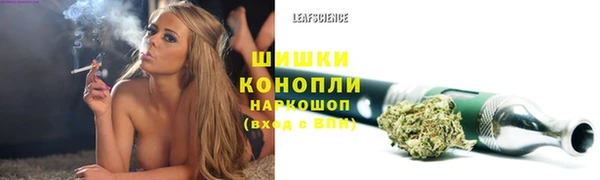 дурь Козловка