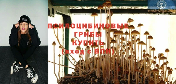 мет Красноперекопск
