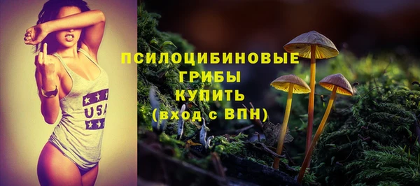 стаф Кодинск