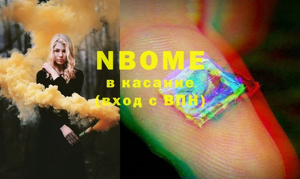 стаф Кодинск