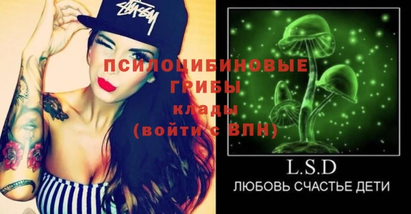 таблы Козельск