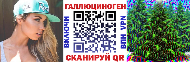 купить наркотик  Мариинский Посад  Псилоцибиновые грибы Psilocybine cubensis 